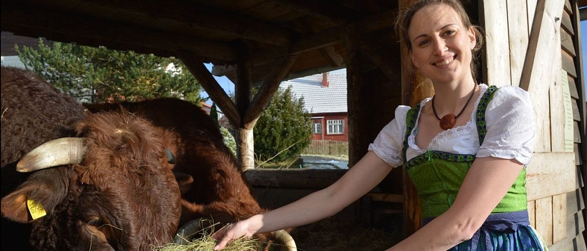 Julia Thielecke mit Kuh Berte und Bulle Hannibal. Julia Thielecke mit Kuh Berte und Bulle Hannibal.