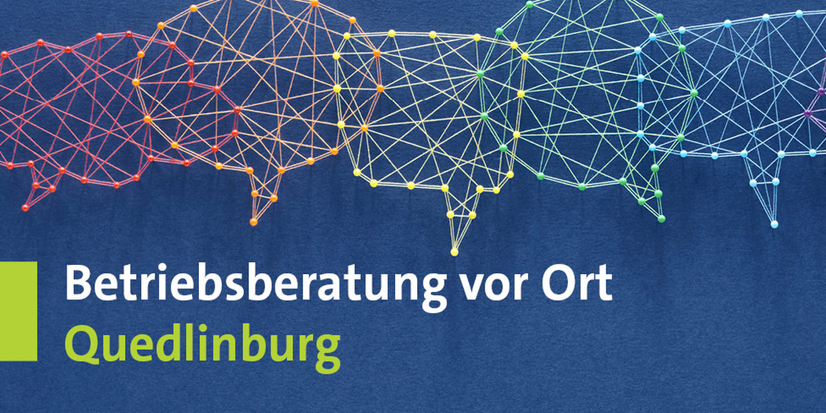 Betriebsberatung-Quedlinburg-Webbanner-1440x48810