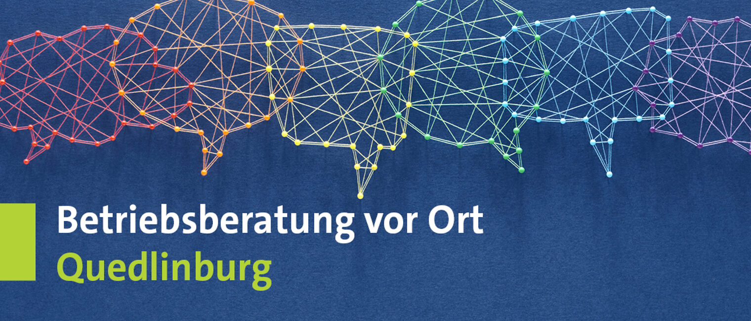Betriebsberatung-Quedlinburg-Webbanner-1440x48810