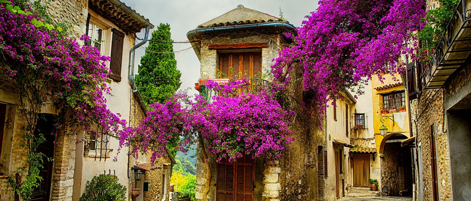 beautiful old town of Provence beautiful old town of Provence Schlagwort(e): travel, france, d'azur, provence-alpes-cote, europe, architecture, french, culture, house, nature, riviera, old, sky, street, city, vacations, destinations, rural, tourism, ancient, residential, locations, history, image, in, scenics, cityscape, flower, landscape, mediterranean, countries, summer, building, hill, traditional, tree, landscapes, roof, village, nice, beautiful, style, romance, provence, stone, purple, antique, narrow, fortress, street, quiet, friendly, france, french, beautiful, provence, old, street, city, riviera, ancient, traditional, village, travel, d'azur, provence-alpes-cote, europe, architecture, culture, house, nature, sky, vacations, destinations, rural, tourism, residential, locations, history, image, in, scenics, cityscape, flower, landscape, mediterranean, countries, summer, building, hill, tree, landscapes, roof, nice, style, romance, stone, purple, antique, narrow, fortress, quiet