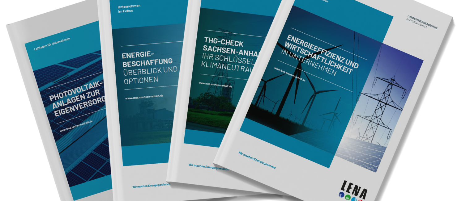 LENA-Publikationen-Energie